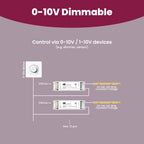 LS-120V24-DALI2