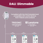 LS-40V12-DALI2