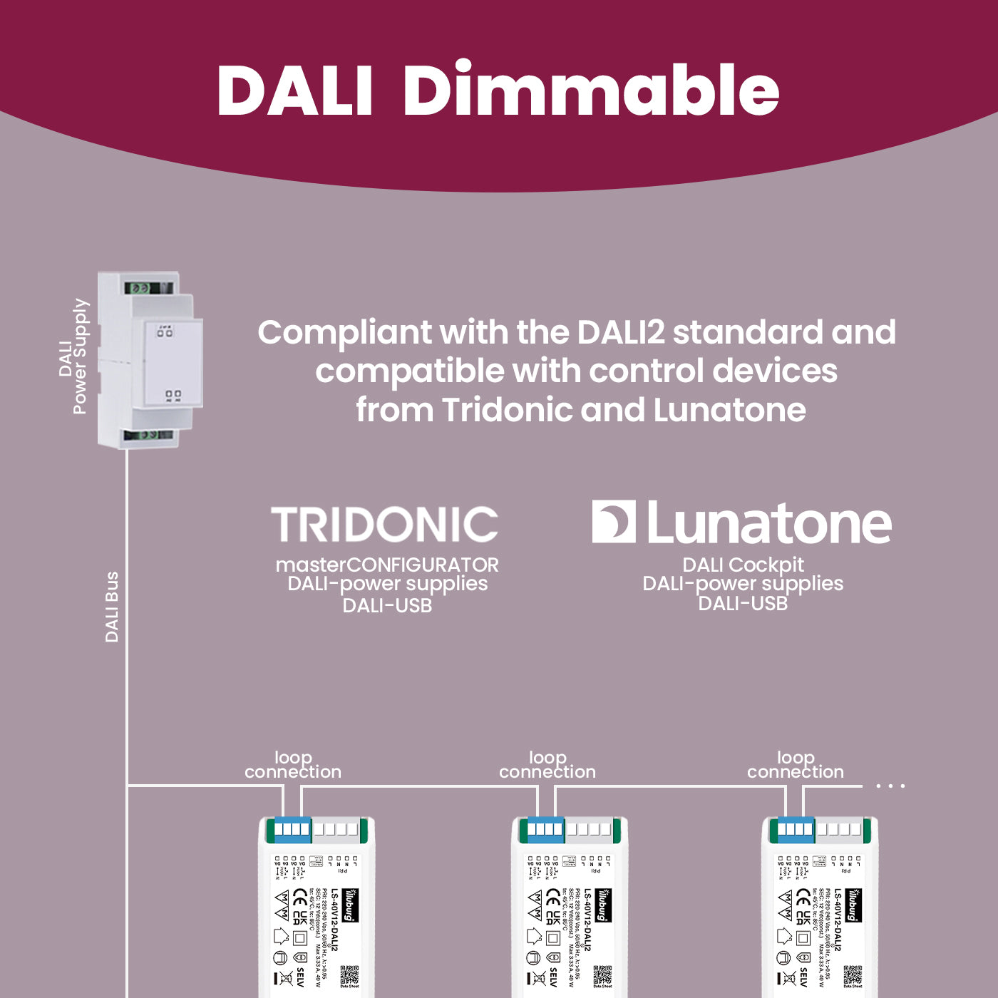 LS-40V12-DALI2
