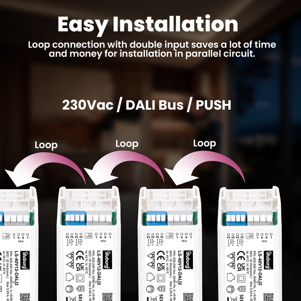 LS-40V12-DALI2