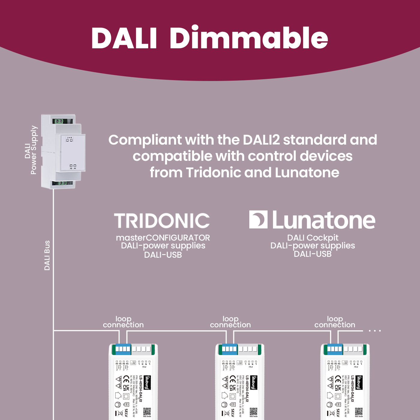 LS-40V24-DALI2
