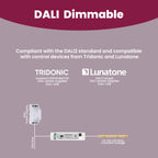 LS-45V24E-DALI2