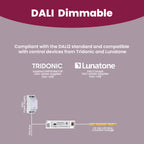 LS-60V24G-DALI2
