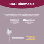 US-250V24G-DALI2