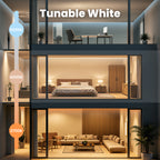 C8-576B-CCT2